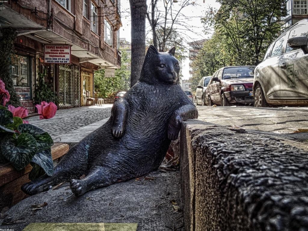 ការយល់ដឹងអំពីសំណួរ និង ចម្លើយ